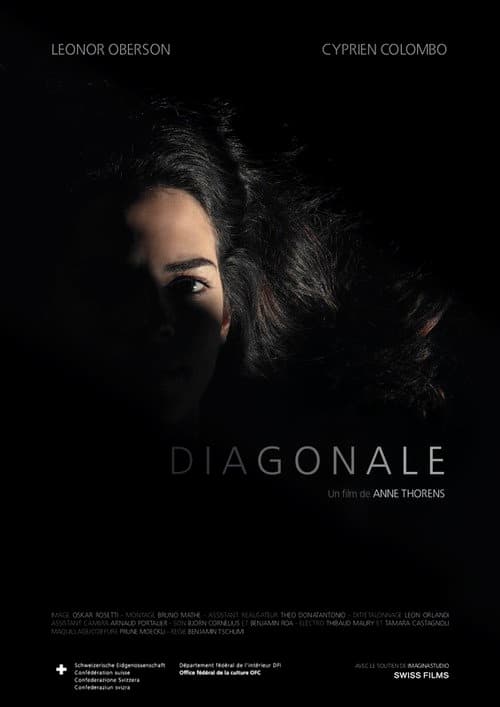 Diagonale (2019) poster