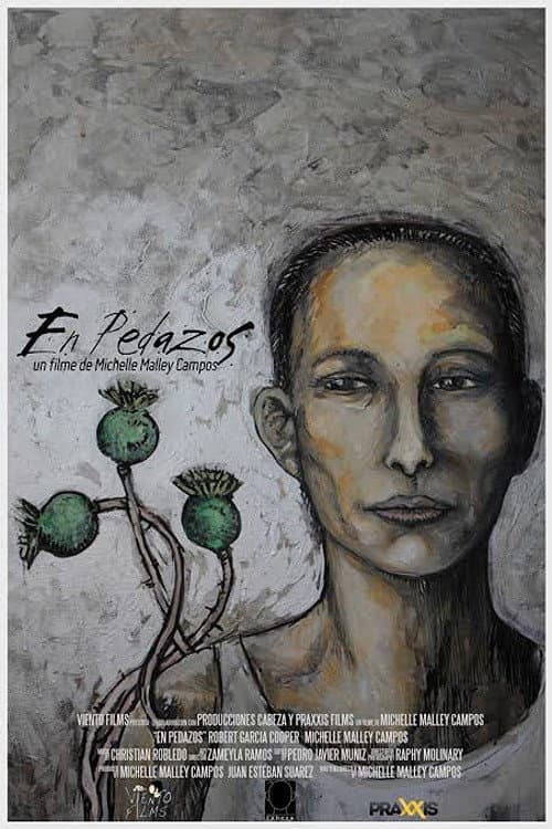 En pedazos (2015) poster