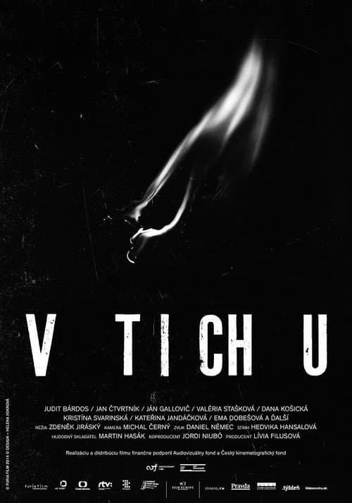 V tichu (2014) poster