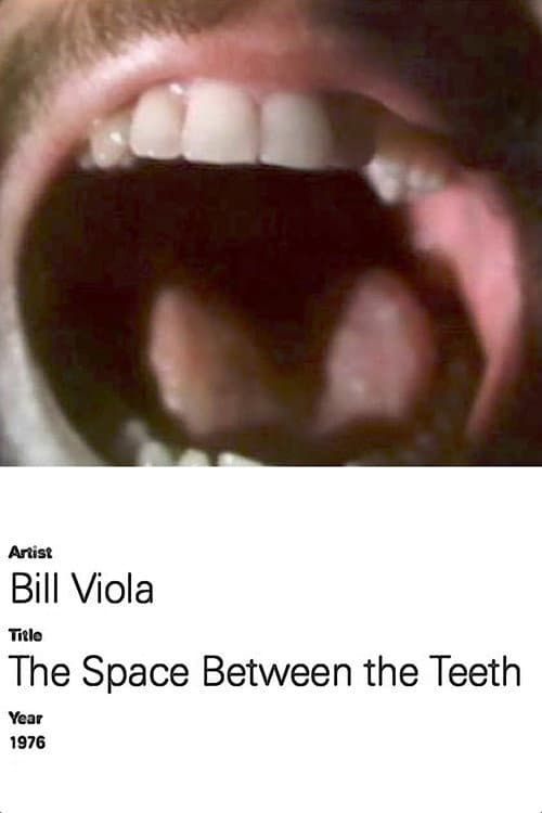 The Space Between the Teeth (1976) poster