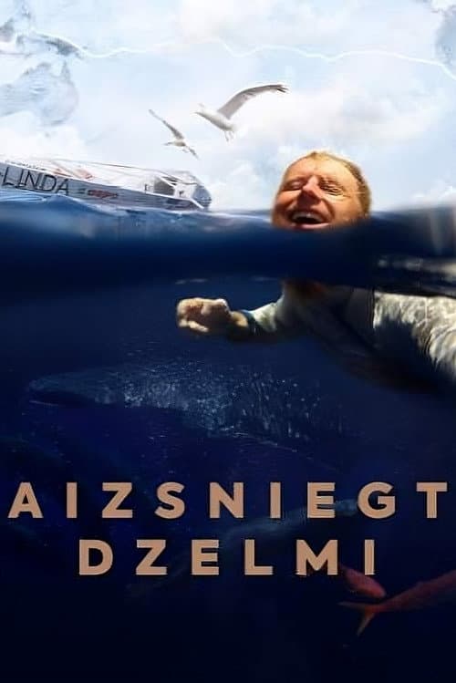 Aizsniegt dzelmi: vienatnē pāri Klusajam okeānam (2025) poster