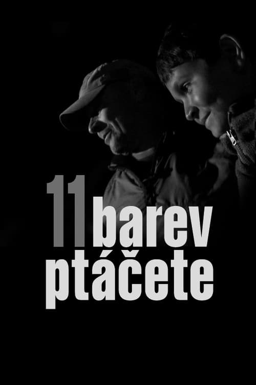 11 barev ptáčete (2020) poster