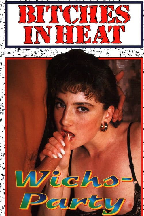 Wichsparty (1995) poster
