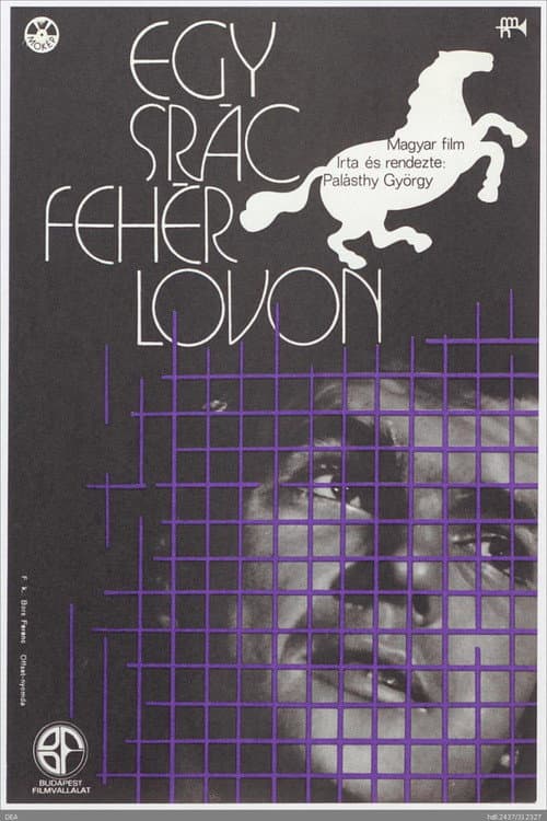 Egy srác fehér lovon (1973) poster