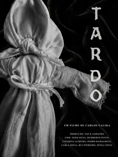 Tardo (2026) poster