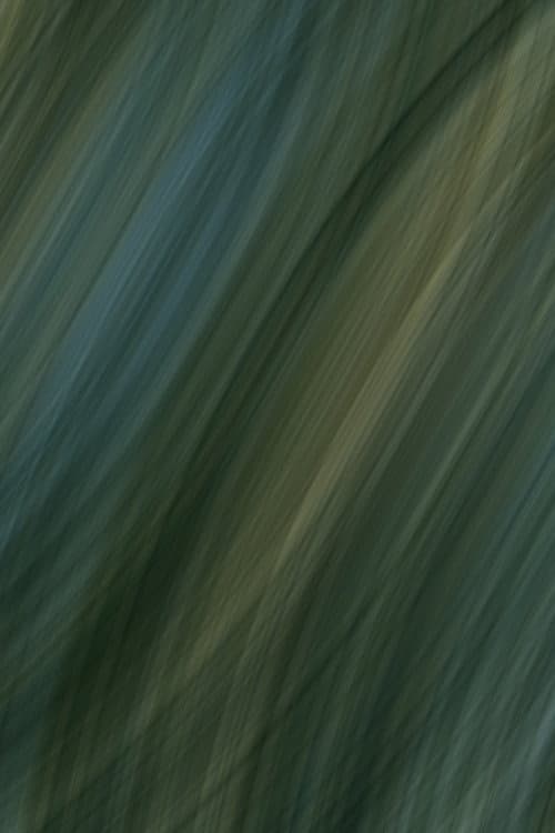 Fabric (2026) poster