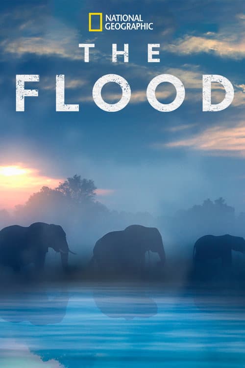 De Vloed (2018) poster