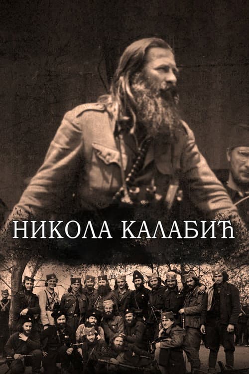 Никола Калабић (2020) poster