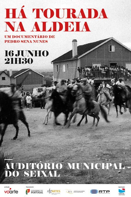Há Tourada na Aldeia (2010) poster