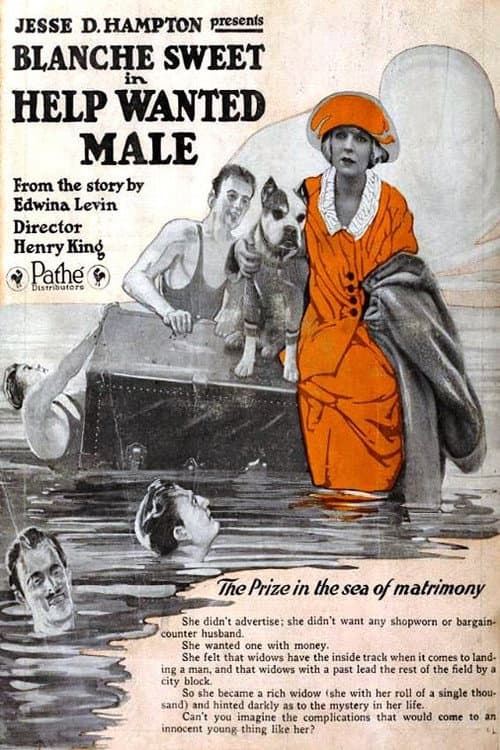 Help Wanted - Male (1920) poster