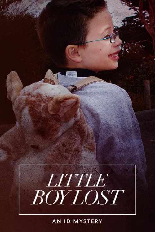 Little Boy Lost: An ID Mystery (2020) poster