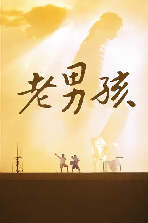 11度青春之老男孩 (2010) poster