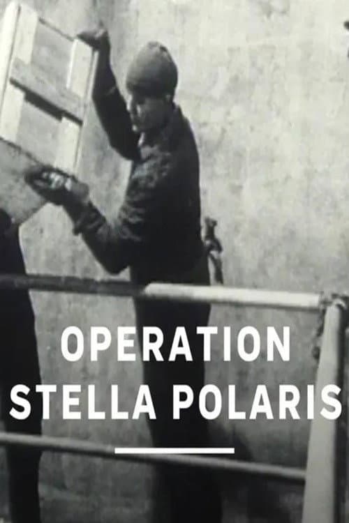 Operation Stella Polaris (1995) poster