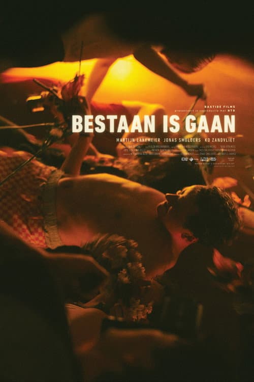 Bestaan is gaan (2017) poster