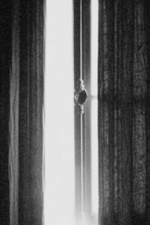Sensitométrie V (1976) poster