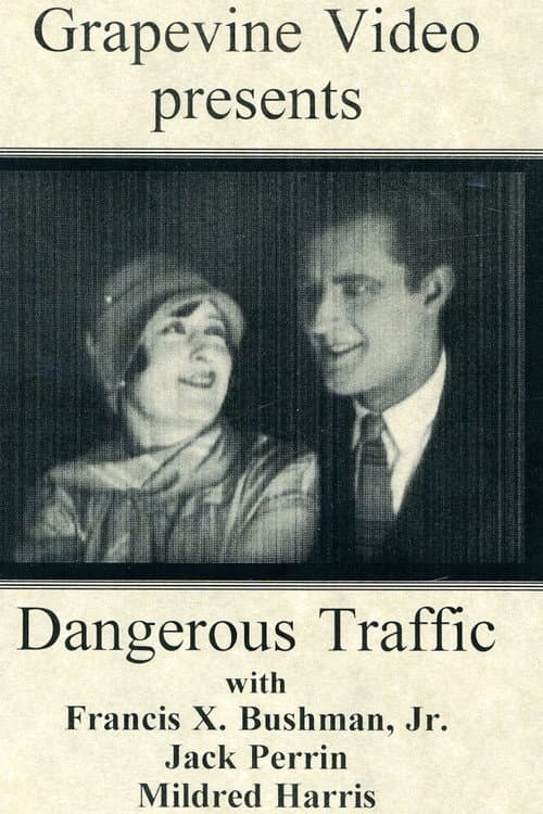 Dangerous Traffic (1926) poster