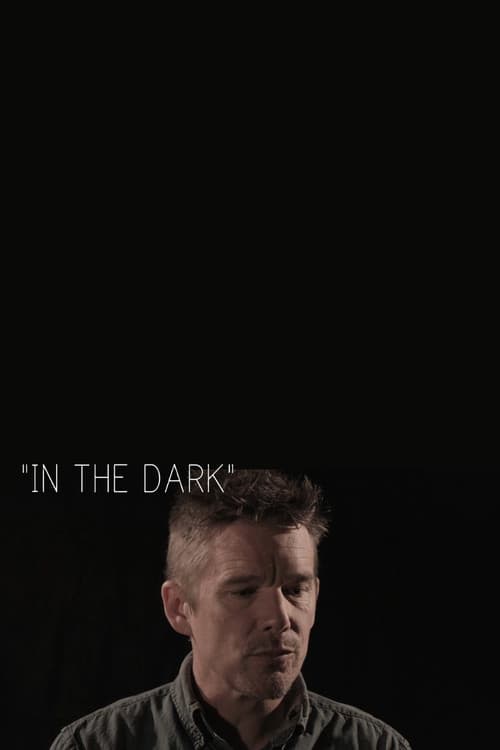 In the Dark (2014) poster