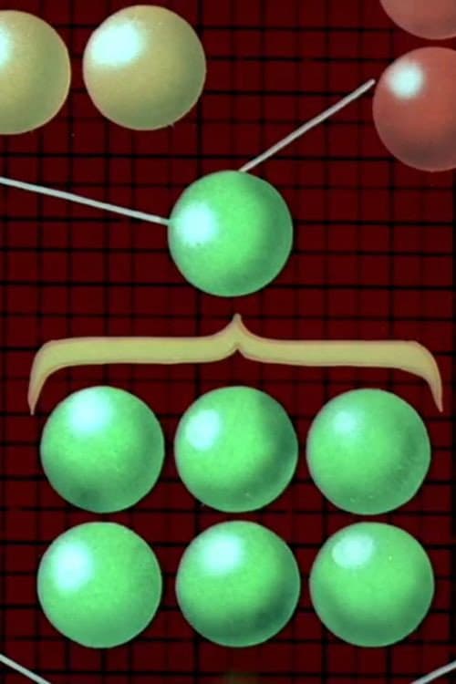 D-ale organigramei no. 1 (1975) poster