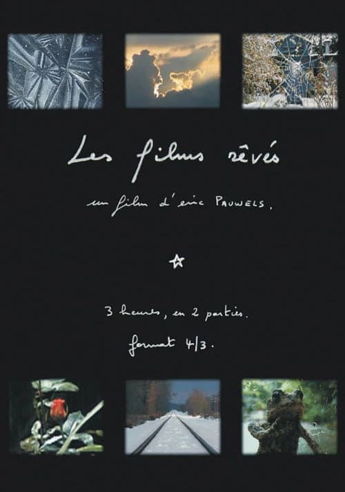 Les films rêvés (2010) poster