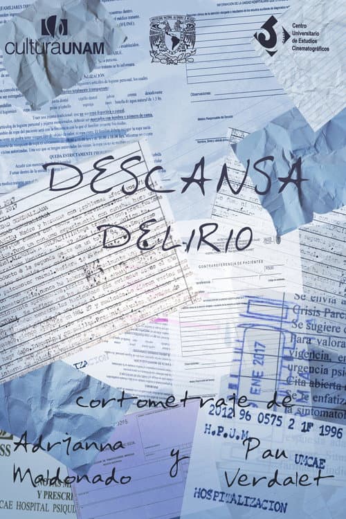 Descansa Delirio (2019) poster