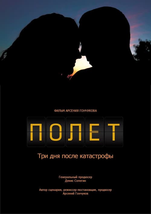 Полет. Три дня после катастрофы (2013) poster