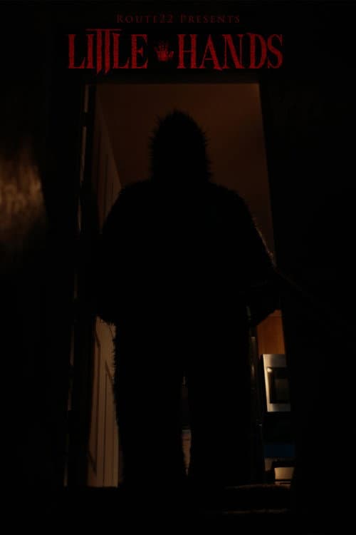 Little Hands (2026) poster