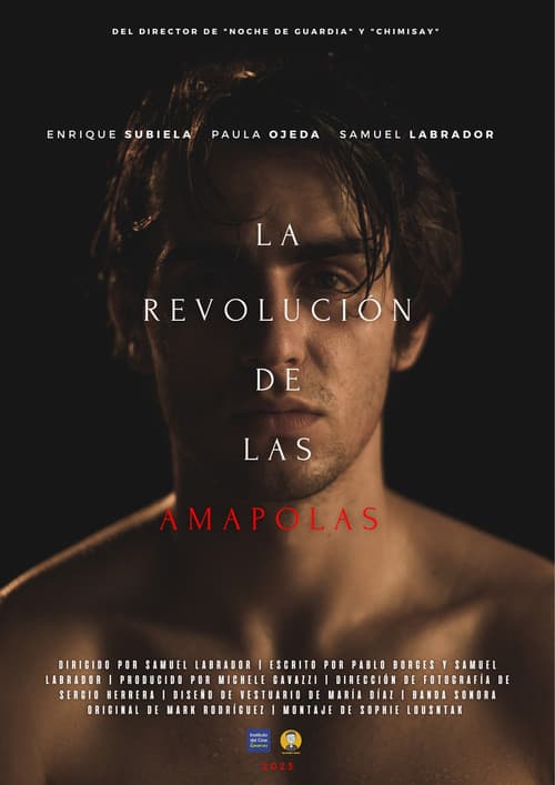 La revolución de las amapolas (2022) poster