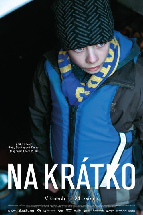 Na krátko (2018) poster
