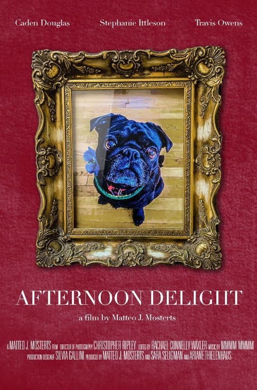 Afternoon Delight. (2017) poster