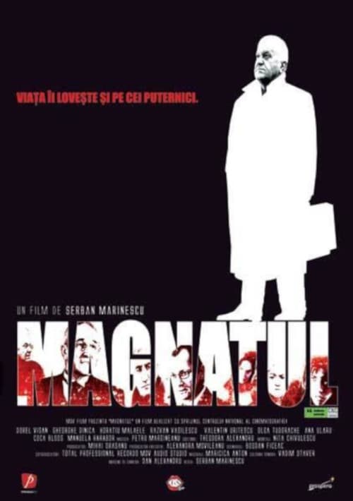 Magnatul (2004) poster