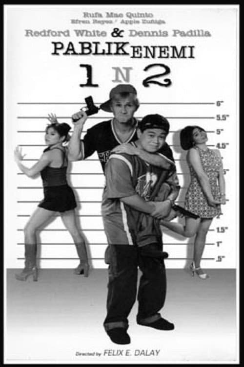 Pablik Enemi 1 n 2: Aksidental Heroes (1997) poster