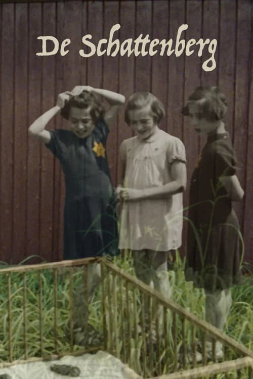 De Schattenberg (2007) poster