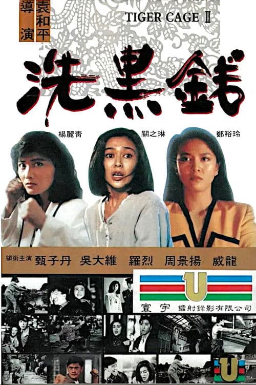 Tiger Case II (1990) poster