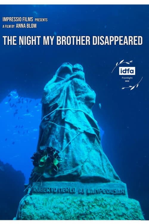 Natten då min bror försvann (2022) poster