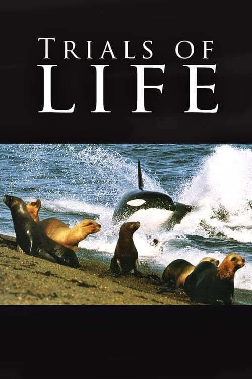 The Trials of Life (1990) poster