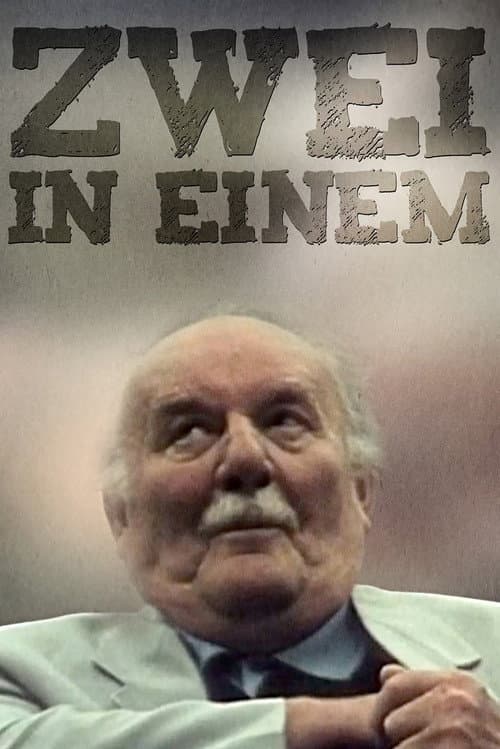 Zwei in einem (2001) poster