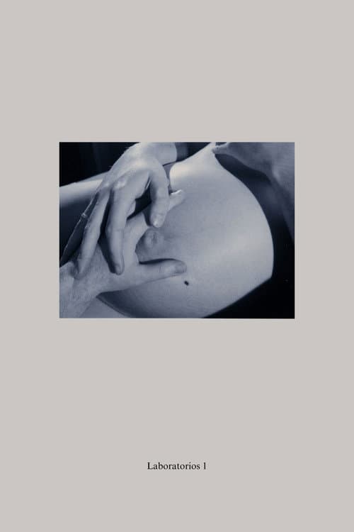 Laboratorios 1: Confesión (2024) poster