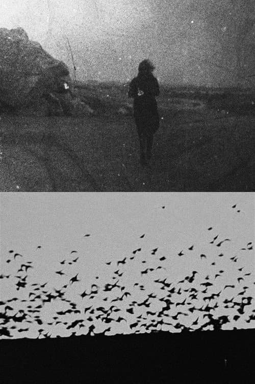 L'Image fantôme (2025) poster