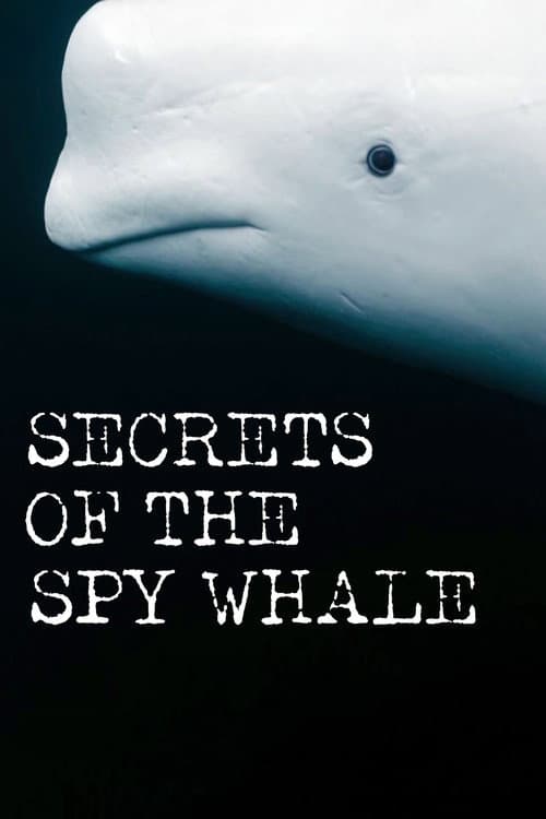 Secrets of the Spy Whale (2024) poster