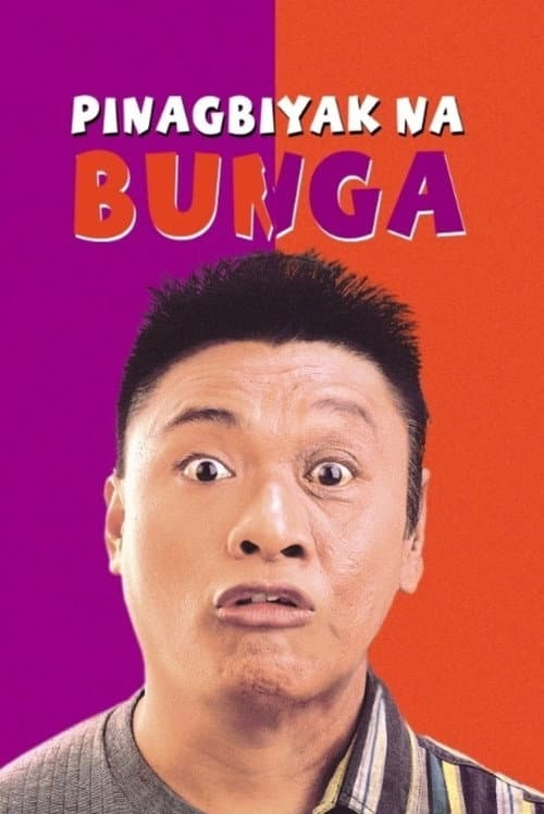 Pinagbiyak Na Bunga: Lookalayk (1994) poster