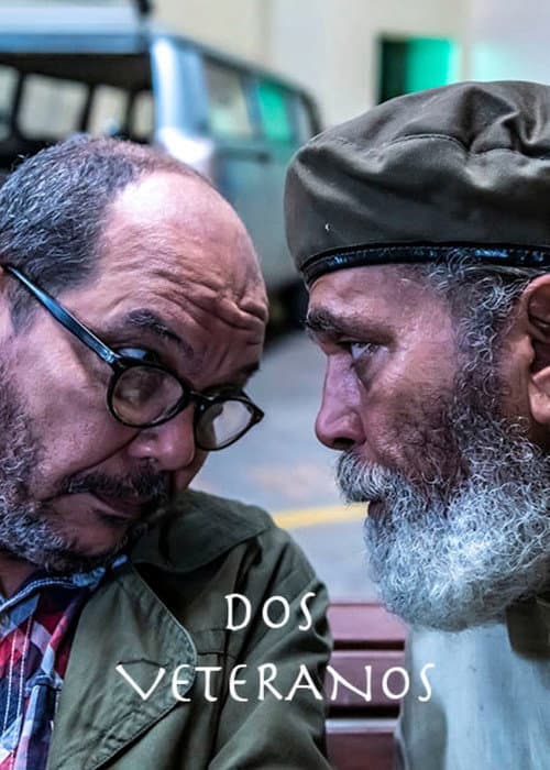 Dos veteranos (2019) poster
