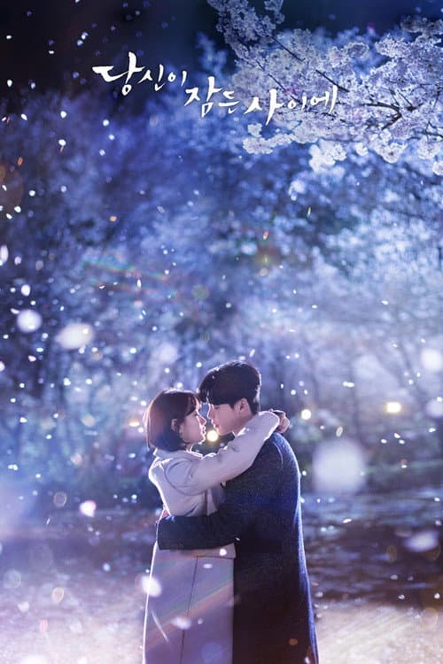 당신이 잠든 사이에 (2017) poster