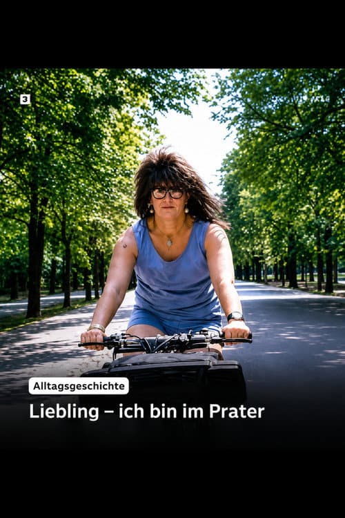 Alltagsgeschichte – Liebling, ich bin im Prater (1993) poster