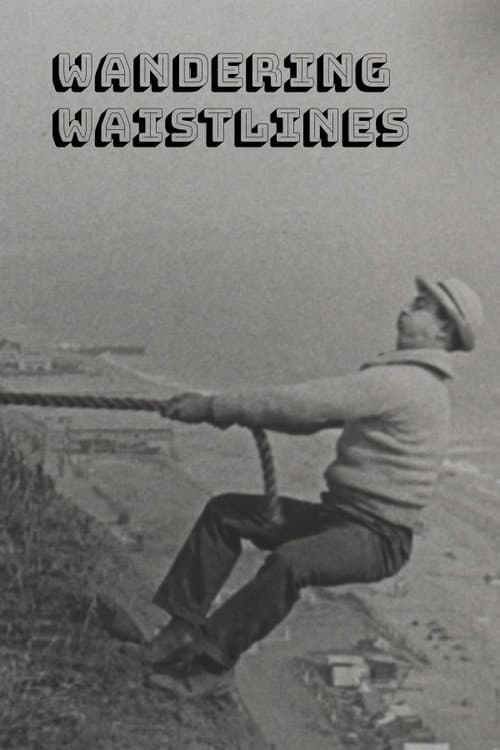 Wandering Waistlines (1924) poster