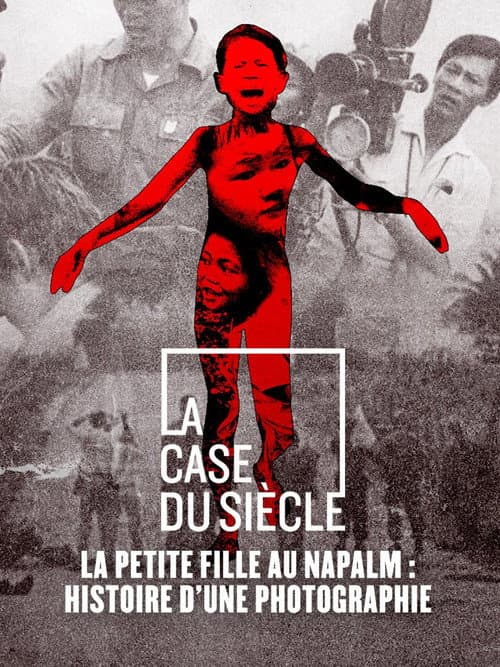 Das Mädchen und das Foto (2010) poster