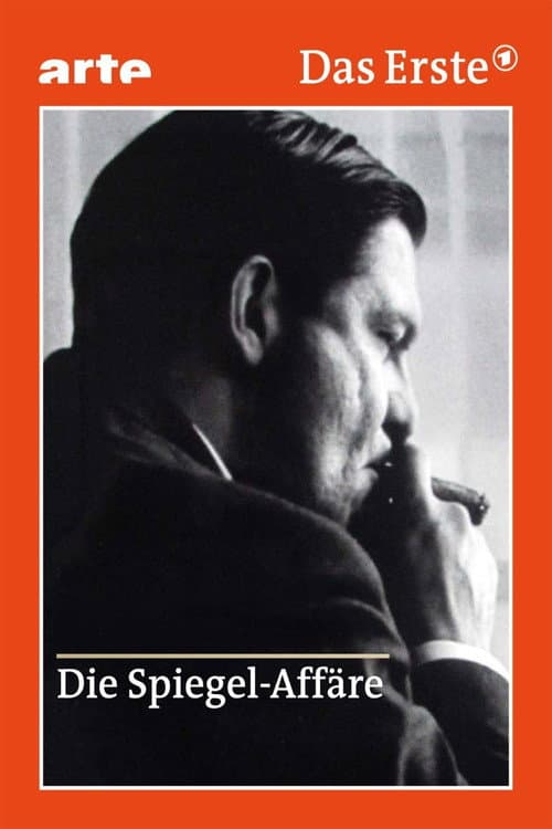 Die Spiegel-Affäre (2014) poster