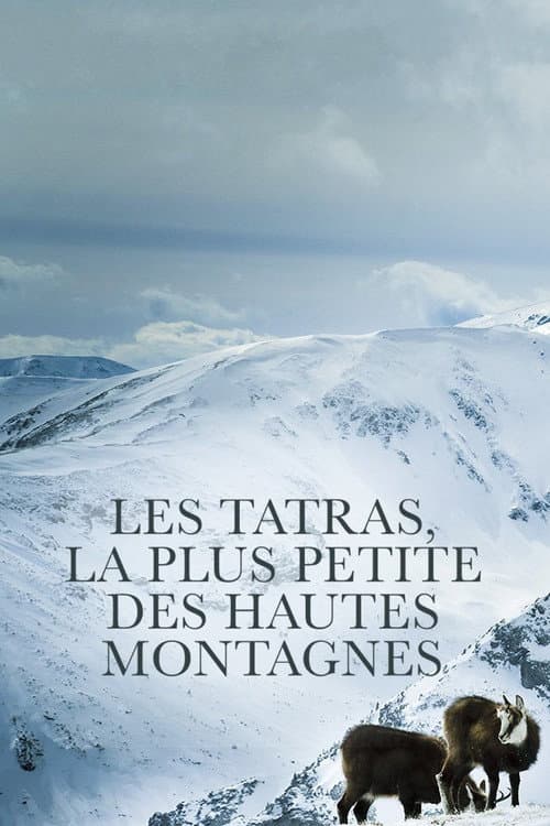 Die Hohe Tatra - Leben am Abgrund (2019) poster