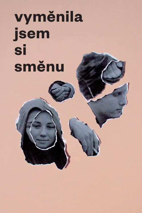 Vyměnila jsem si směnu (2020) poster