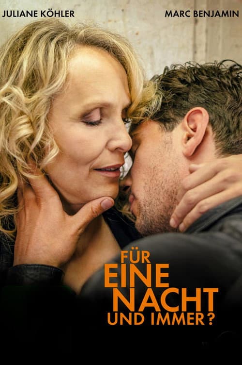 Für eine Nacht... und immer? (2015) poster