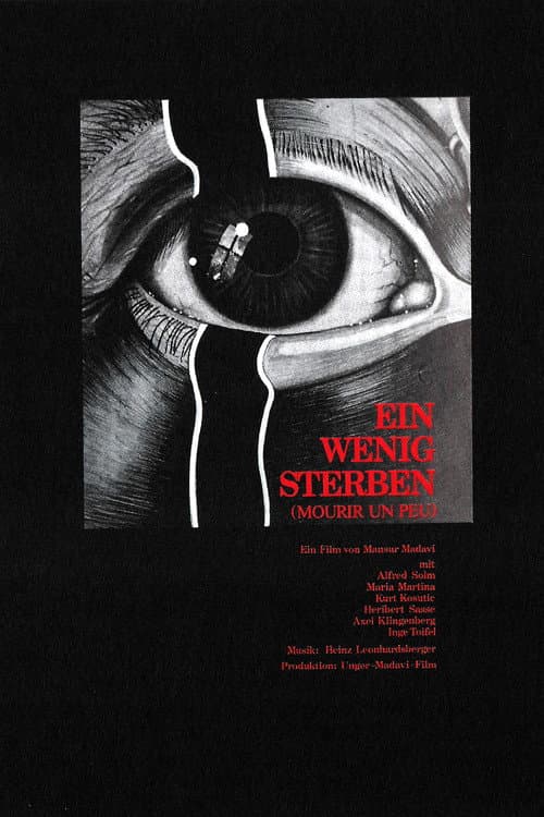 Ein wenig sterben (1981) poster